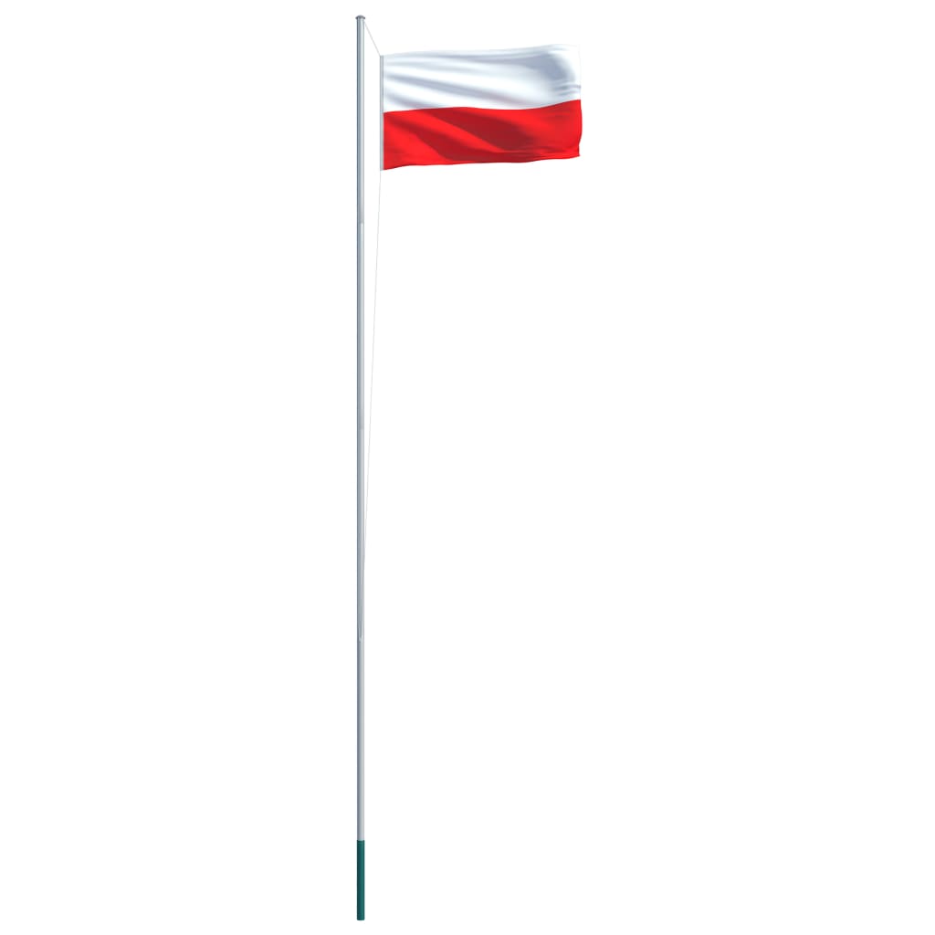 vidaXL Polijas karogs un karoga masts, alumīnijs, 6,2 m