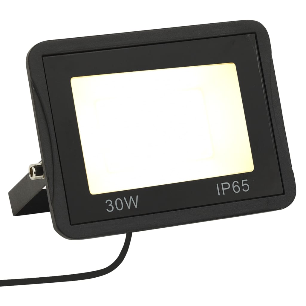 vidaXL LED prožektors, 30 W, silti balta gaisma