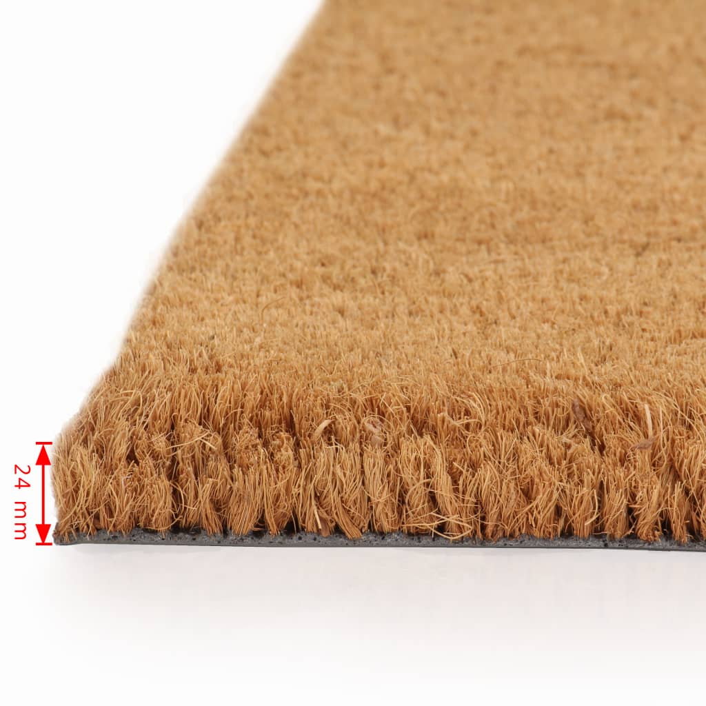 vidaXL ārdurvju paklāji, 2 gb., 24 mm, 40x60cm, kokosa šķiedra, dabīga