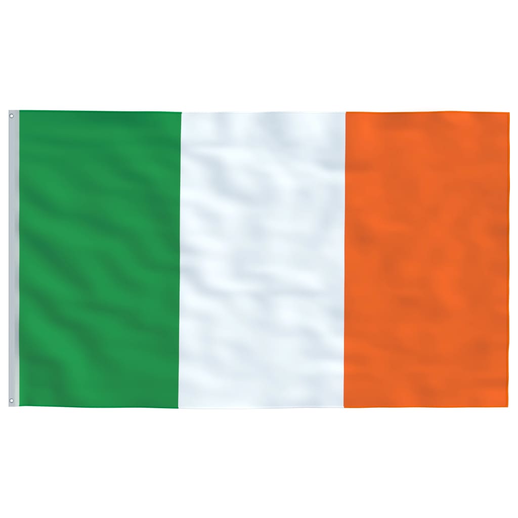 vidaXL Īrijas karogs un karoga masts, alumīnijs, 4 m