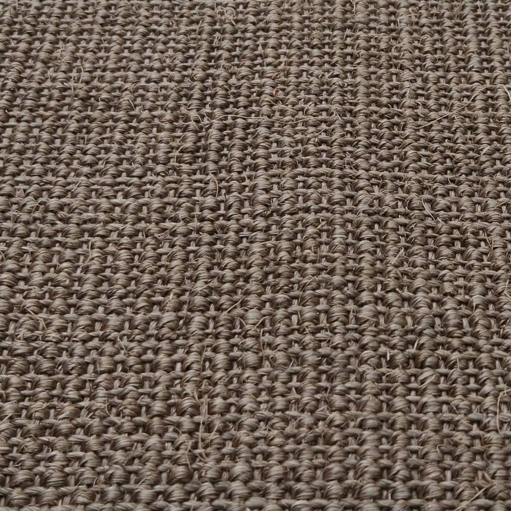 vidaXL paklājs, dabīgs sizals, 66x300 cm, brūns