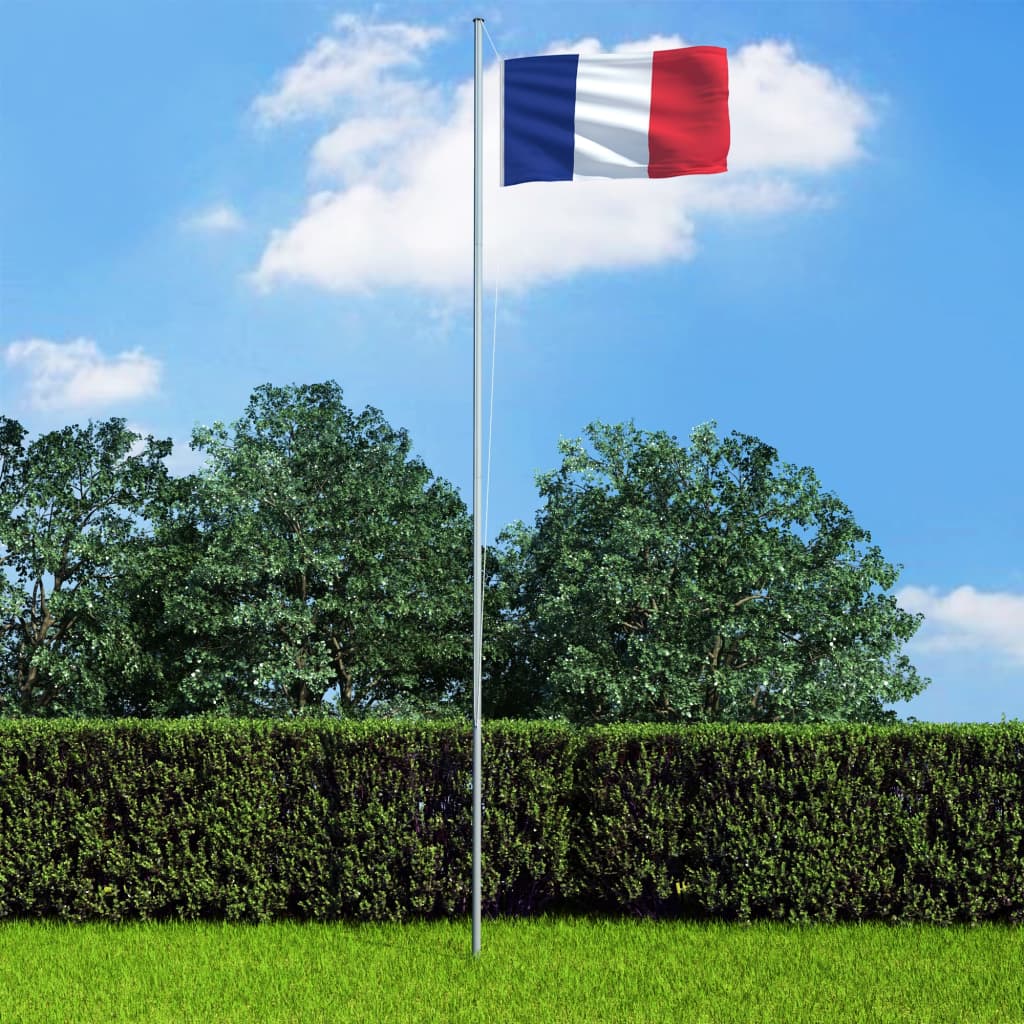 vidaXL Francijas karogs un karoga masts, alumīnijs, 6,2 m