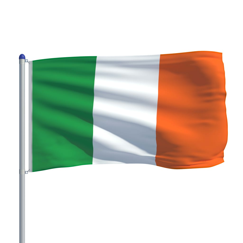 vidaXL Īrijas karogs un karoga masts, alumīnijs, 6 m