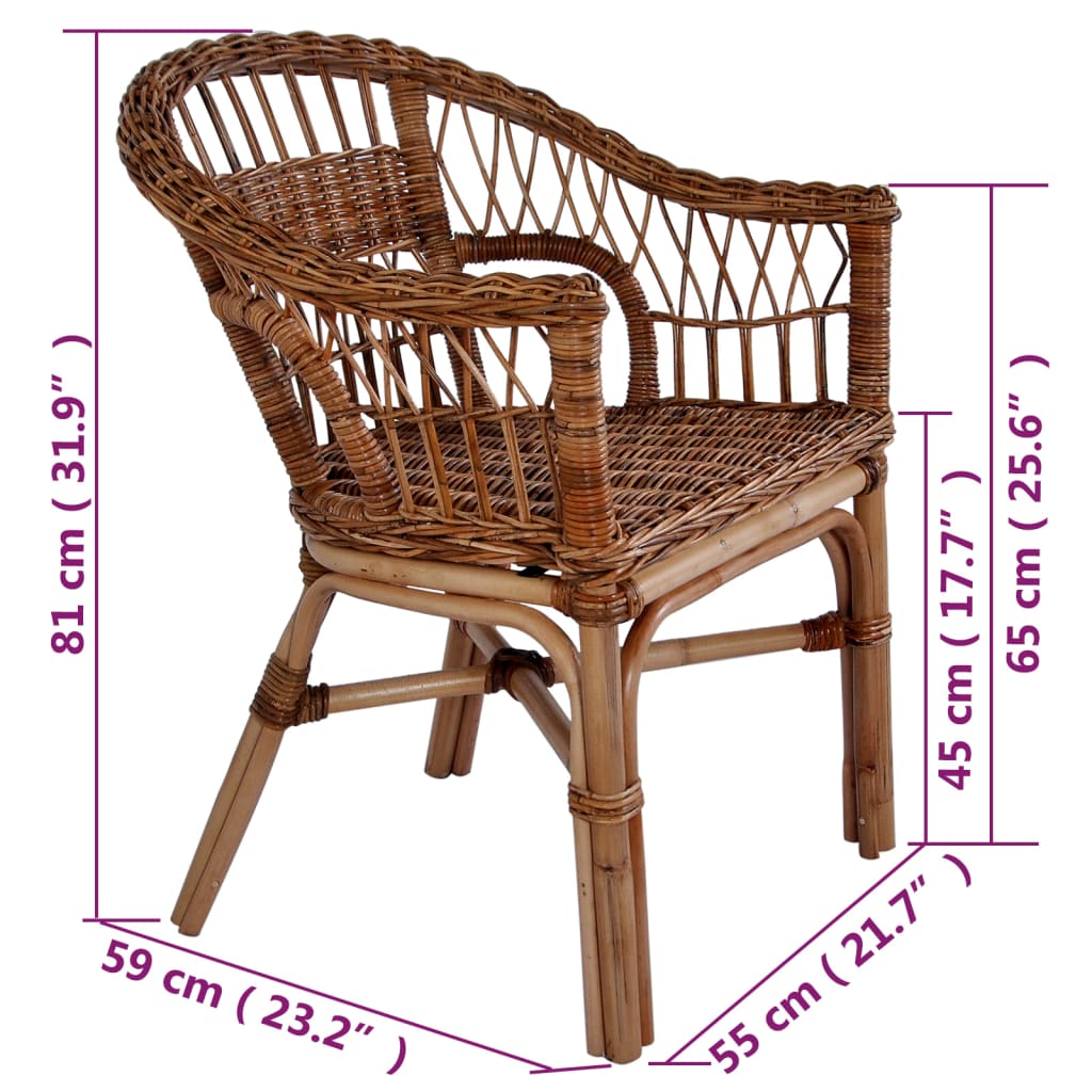 vidaXL dārza krēsli, 6 gab., brūna dabīgā rotangpalma