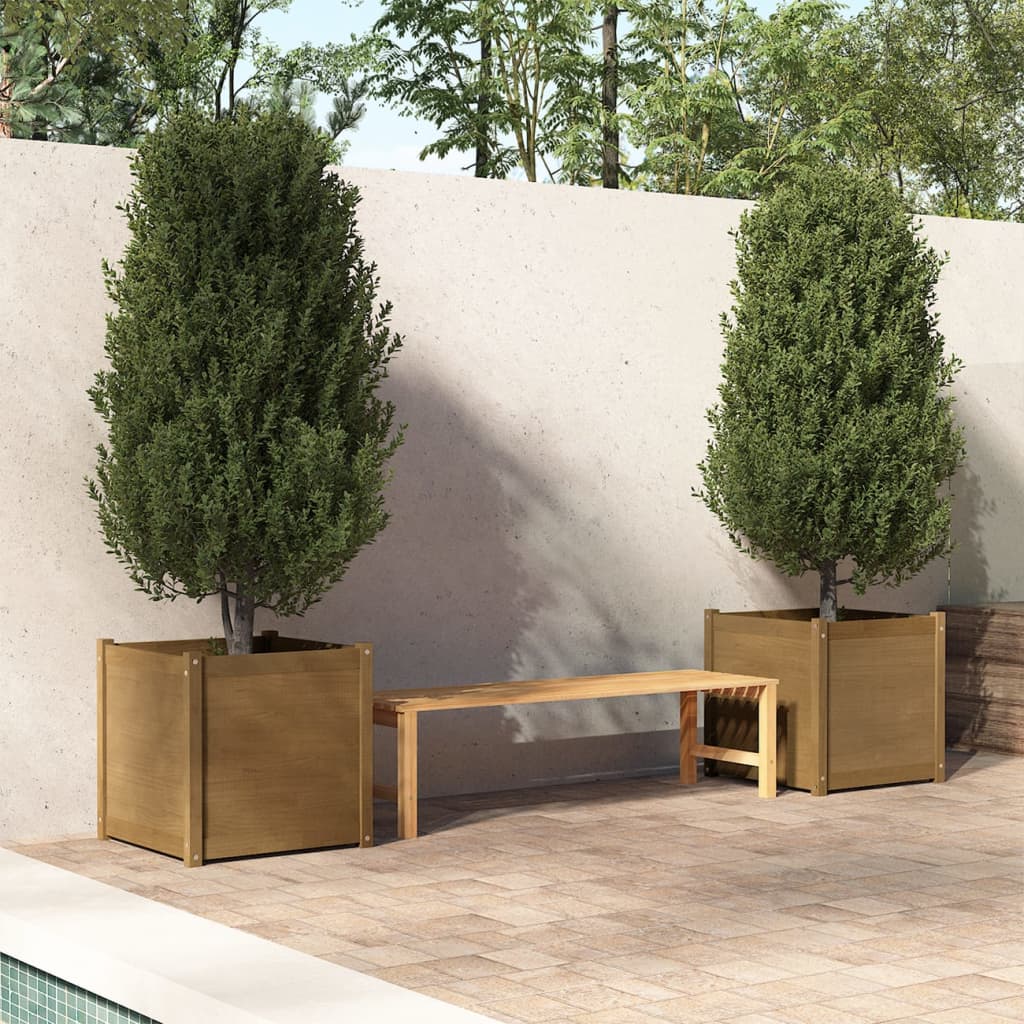 vidaXL dārza puķu kastes, 2 gab., brūnas, 60x60x60 cm, priedes koks